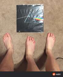 710x860