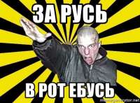 500x369