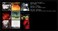 889x485