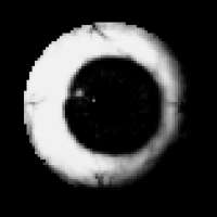 500x500