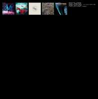 2435x2460