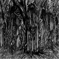 500x496