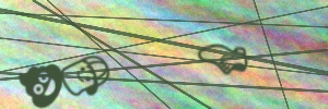 300x100