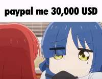 498x388
