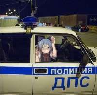 429x421