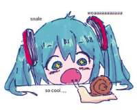 463x371