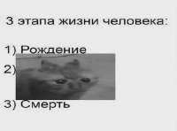 430x320