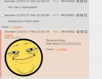 532x417