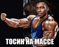 600x485