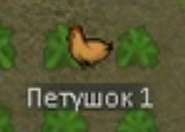 185x132