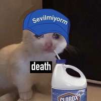 1080x1080