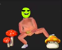 588x480