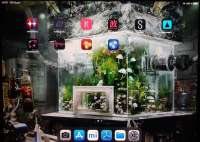 1267x902
