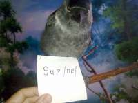 1389