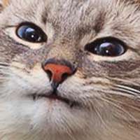 176