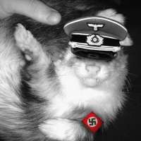 1936x1936