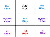 800x600