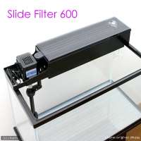 500x500