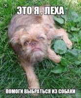 399x480