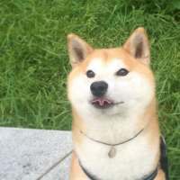 540x540