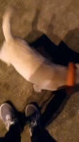 640x1152