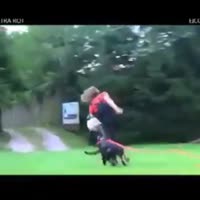 360x360