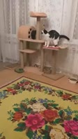 360x640