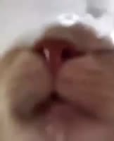 324x400