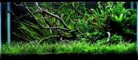 1800x800