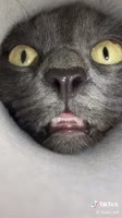 540x960