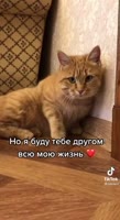 464x848