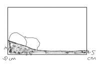 1249x853