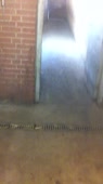 202x360