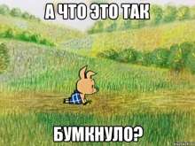 604x453