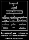 436x604