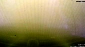640x360
