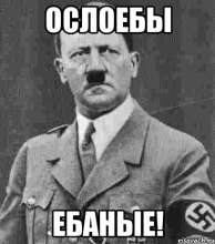 409x462