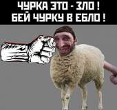 500x471
