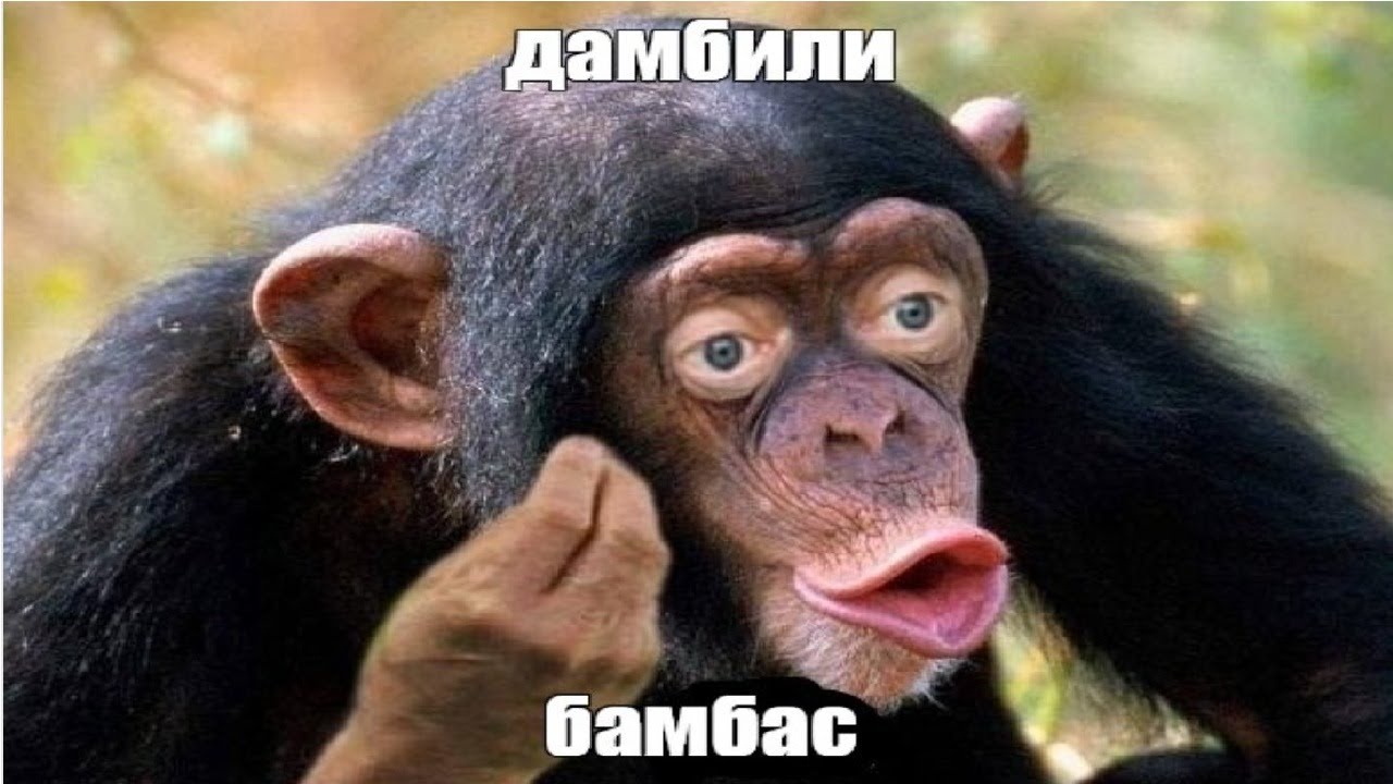 1280x720