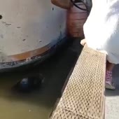 360x360