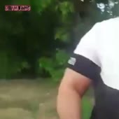 360x360