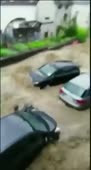 346x640