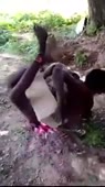 360x640