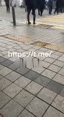 528x960
