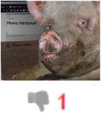 430x501