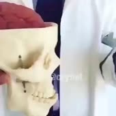 360x360