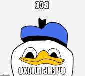 600x540