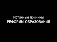 446x334
