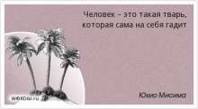 450x250