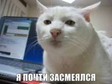 400x300